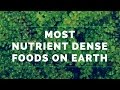 4 of the Most Nutrient Dense Foods on Earth