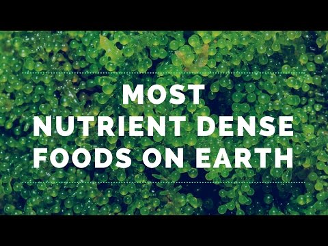 Video: The Most Dietary Foods