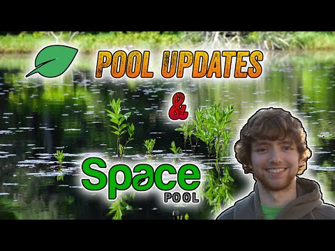 Chia Pool Updates & How to connect to Space Pool