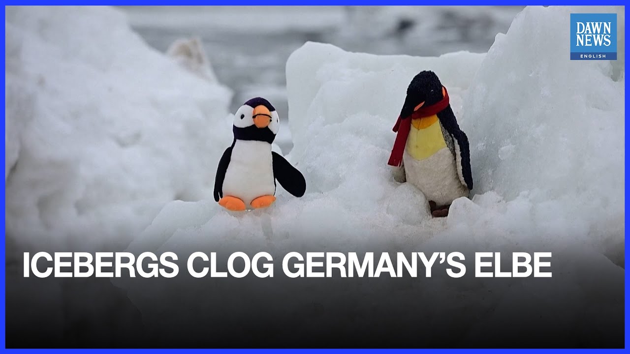 Locals Mesmerised as Spectacular Icebergs Clog Germany’s Elbe River | Dawn News English