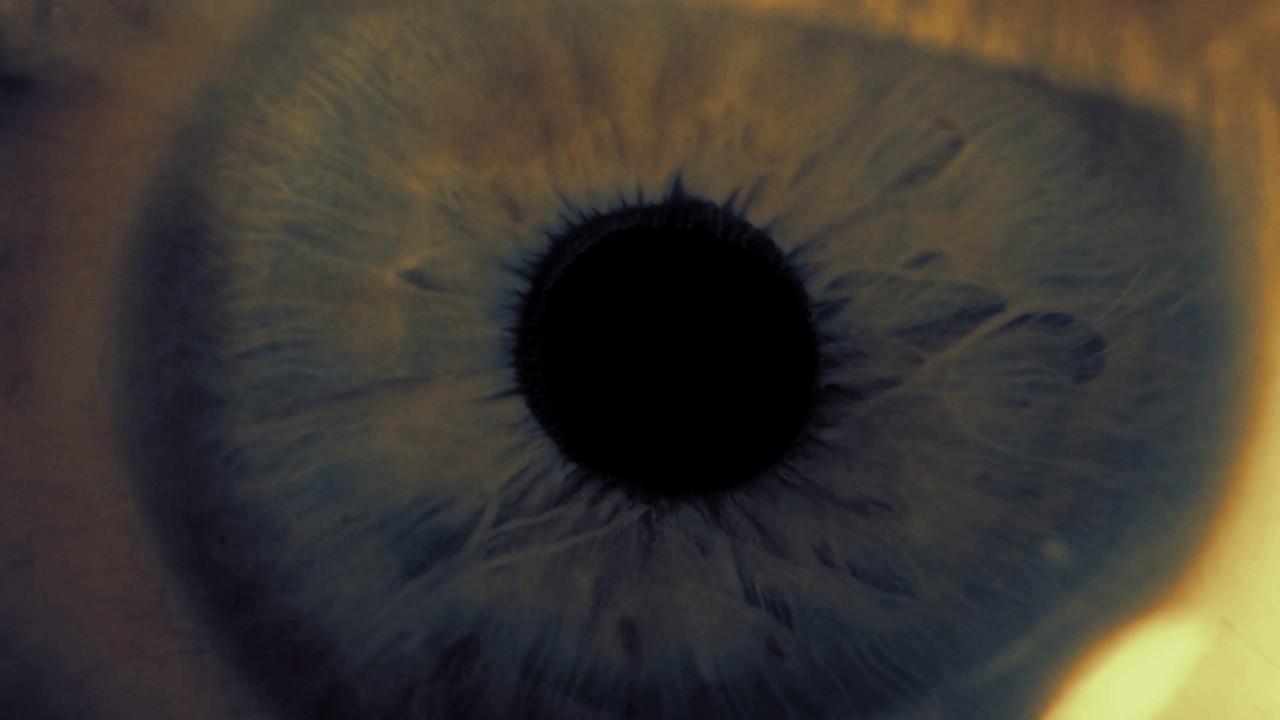 In My Own Blood - The Haunting Hour (Official Music Video)