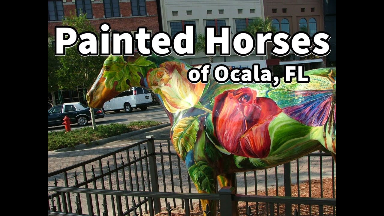 Painted Horses of Ocala YouTube