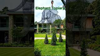 From Bare Lawn To Living Giant #TopiaryArt #LuxuryGarden #CinematicTimelapse  #aivisuals