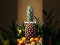 Where It All Began: The Colorful History of Fruits