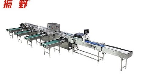 Zenyer 105 egg grader egg grading machine 15000 eggs/hour