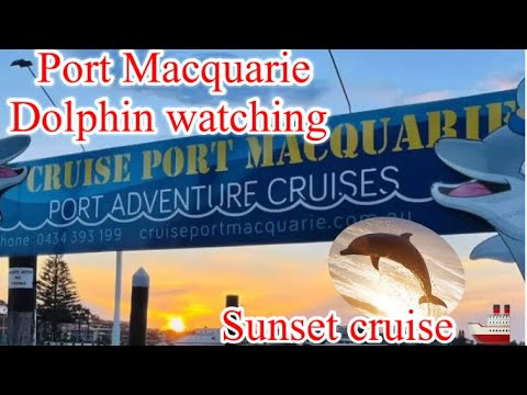 dolphin tours port macquarie