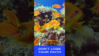 DONT LOSE YOUR FAITH?