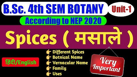 BSc 2nd Year 4th Semester Botany Unit 2/Spices in Hindi/Spices/Spices,मसाले/Different India Spices
