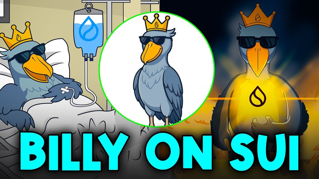 BILLY ON SUI: Next 100x SUI Low Cap??? ($1M mc)