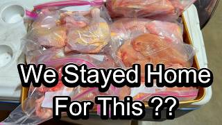 We Skipped the Cabin and Filled the Freezer Instead | Alaska Homestead Life