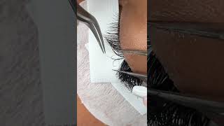 YY lash application from start to the final sticky check