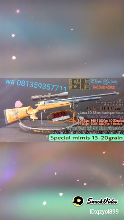 promo akir tahun senapan angin ds hunter
