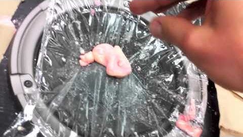 Cosmos Club: Non-Newtonian Fluid Vs Skrillex