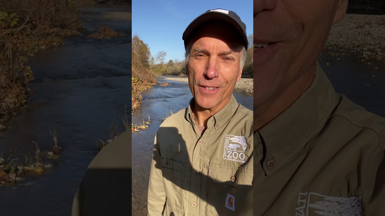 Thane Maynard for the Little Miami Conservancy "Love Your Little Miami' Campaign