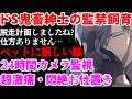 あなたの悶絶顔が大好きなヤンデレ紳士にペット扱いされて恐怖の躾を受ける痛みの監禁【サイコパス/豹変/女性向けシチュエーションボイスASMR】