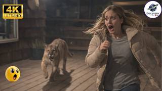 17 TERRIFYING MOMENTS ANIMALS ENCOUNTER HUMANS IN THE CITY