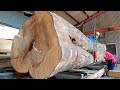 #112【製材】肉桂（ニッケイ）【lumbering】cinnamon