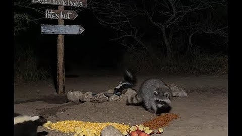 BlueIndigoTrails is live!🍎🌽