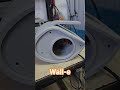 Wall-E head #robot #wall-e