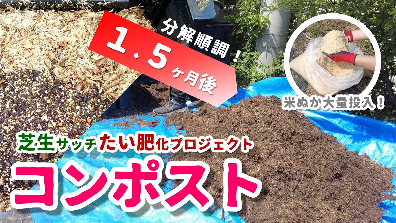 芝生サッチたい肥化プロジェクト 3 コンポスト１ ５ヶ月後の状況 米ぬか大量投入 Youtube