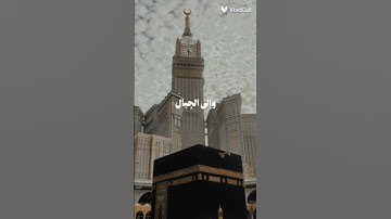 أفلا ينظرون إلى الإبل كيف خلقت قرآن كريم راحة نفسية😊❤️‍🩹