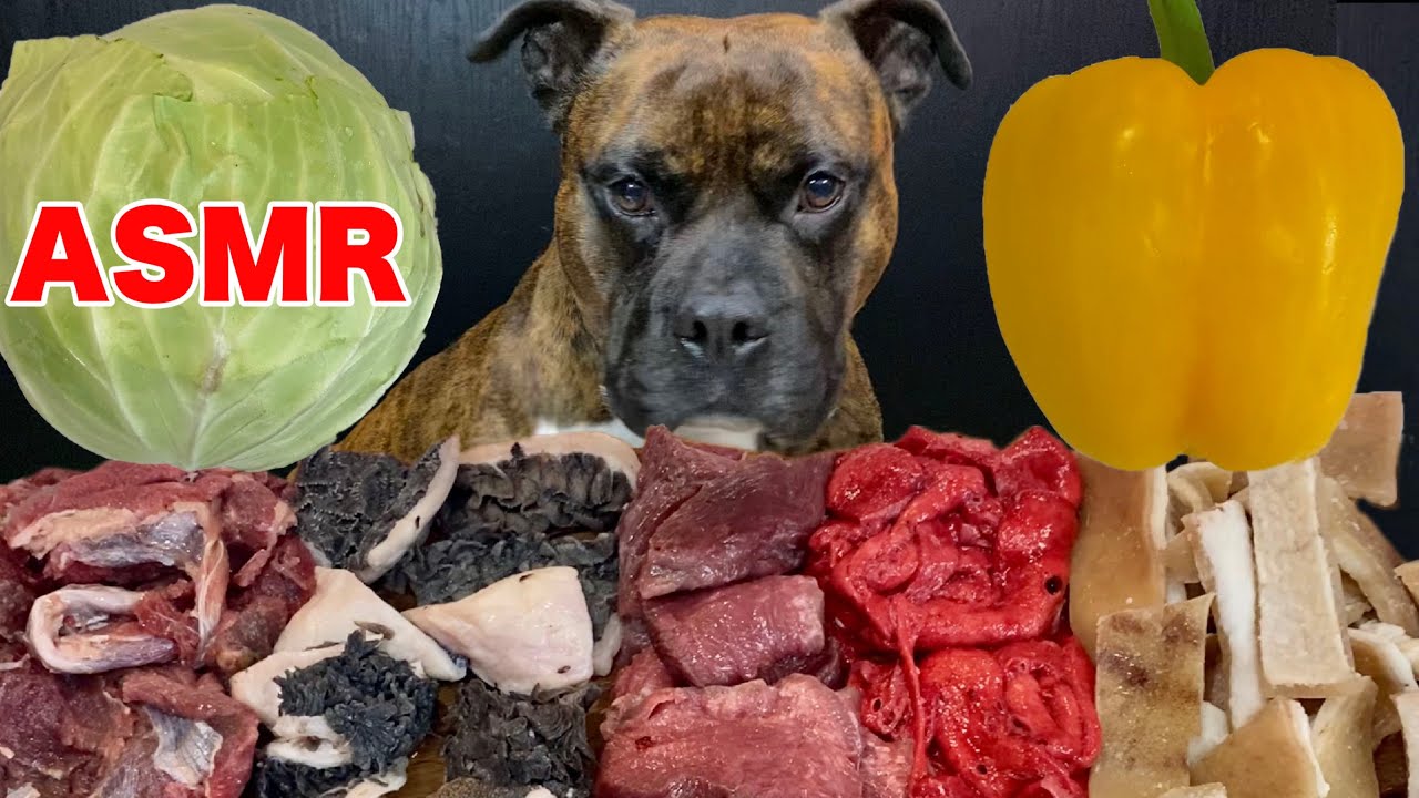 MUKBANG ASMR Dog eating Raw Meats!Beef, horse meat, pork, cabbage