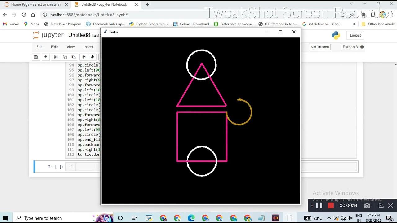 Squid game ground in python || Python turtle library || Python for ...