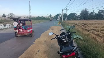 Roxas, Isabela - Solar drying rice to sell at NFA