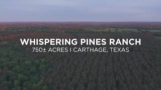 Whispering Pines Ranch I Carthage, TX 750 ± Acres I Northeast Texas Whitetail Properties