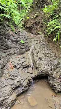 #fyy #funny #comedy #unfrezzmyaccount