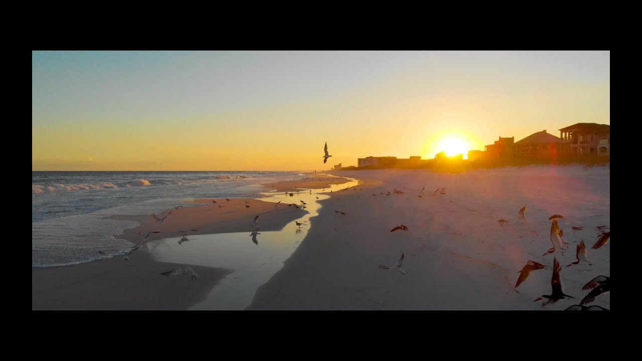 2018 Media Reel | CLARITY CONTROL