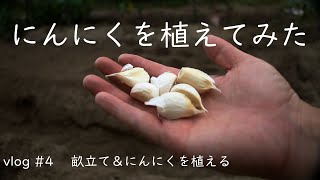 vlog#4 畝(うね)立て&ニンニクを植えてみた
