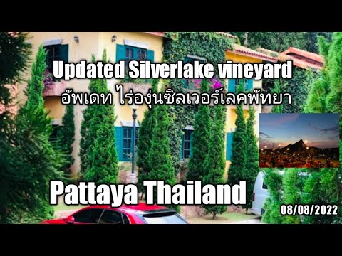 Mum Aroi Restaurant, Silverlake Vineyard branch  update Silverlake wine & grill Pattaya