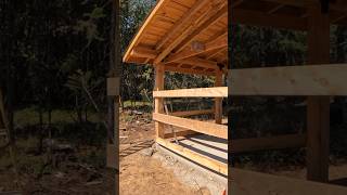 Adding Girts To The Sawmill Shed #sawmillcover #sawmillshed #short #shorts #youtube #youtubeshorts Adding Girts To The Sawmill Shed #sawmillcover #sawmillshed #short #shorts #youtube #youtubeshorts