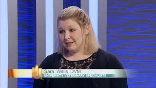 Pittsburgh Living, CBS Pittsburgh - ER with Dr. Wells & Dr. Stoneham