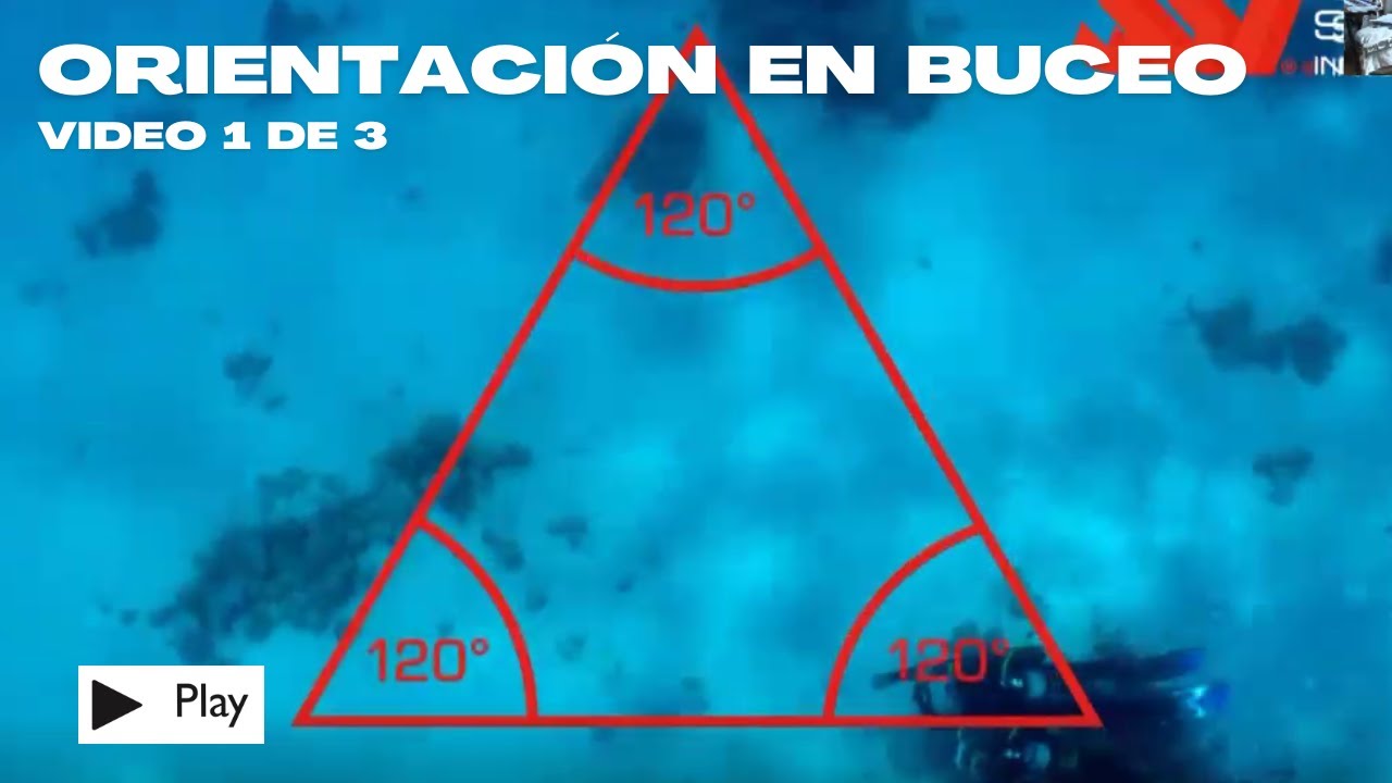 Descubre los Secretos de la ORIENTACION bajo el agua