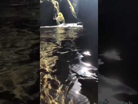 妖精が見えたら願い叶うそうです❤️#shorts