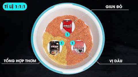 Cách Pha Mồi Handing Và Một Số Công Thức Mồi Câu Chép - Diếc | VIETNAM FISHING PRODUCTS