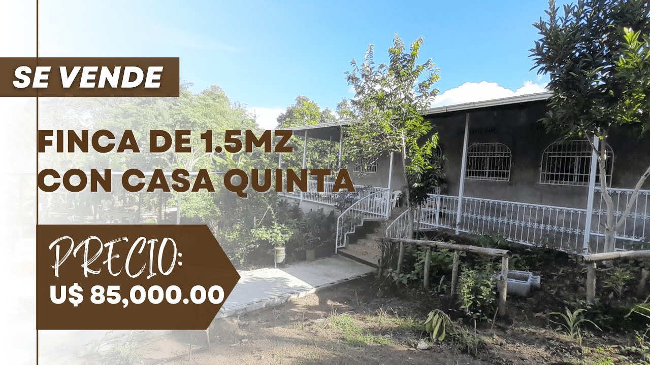 Venta de Fincas Se Vende Finca de 1.5mz con Casa quinta en Masaya