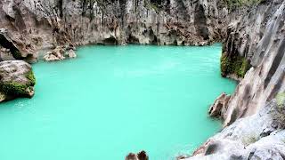 Live Acordeon Aurel de la Bobesti Florin Tuculan   Hora normala