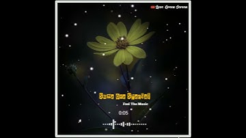 🔥New Avee Player Template Download link❇️Trending Square Size Template💝Avee player template download