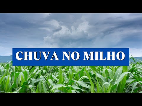 Chuva deve chegar nas áreas de plantio do milho safrinha no PR