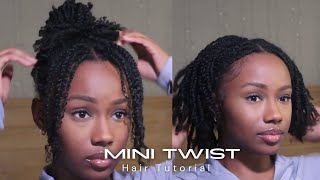 The BEST way to do MINI TWIST that LAST!| #protectivestyles Tutorial