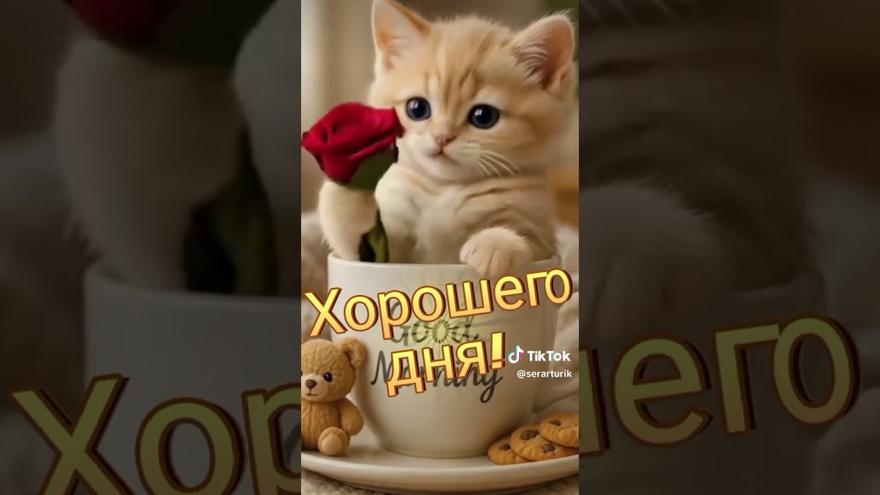 Порно жұлдыздар мен Қызыл телпектің шытырман оқиғалары туралы