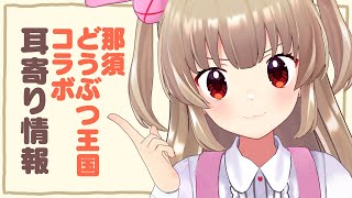 【#名取と行くなすど】那須どうぶつ王国コラボまもなく！名取が最高をみんなにお届けしちゃうよん