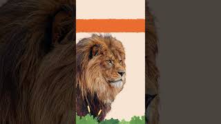 🦁 LION ROAR! Listen and Learn | Animal Sounds for Kids