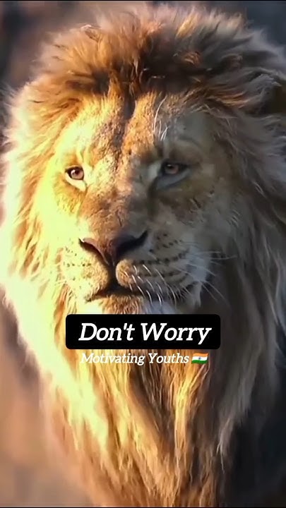 No Matter How Many Times I Fall I Will Still Rise motivation no-matter-how-many-times-i-fall-i-will-still-rise-motivation