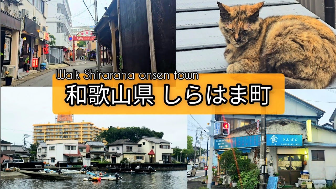 【和歌山】白浜温泉 路地裏さんぽ Walk Shiraraha Wakayama 