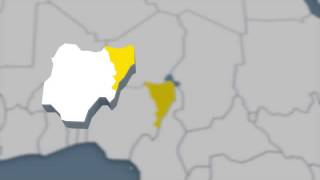 Details U.S. deploys troops to Chad to assist in search for kidnapped Nigerian schoolgirls Guide