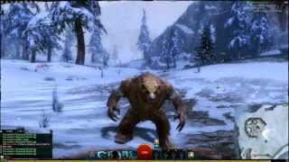 Guild Wars 2 - All Norn Transformations and skills [HD]